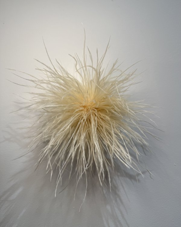 Broche Plumes/ écru