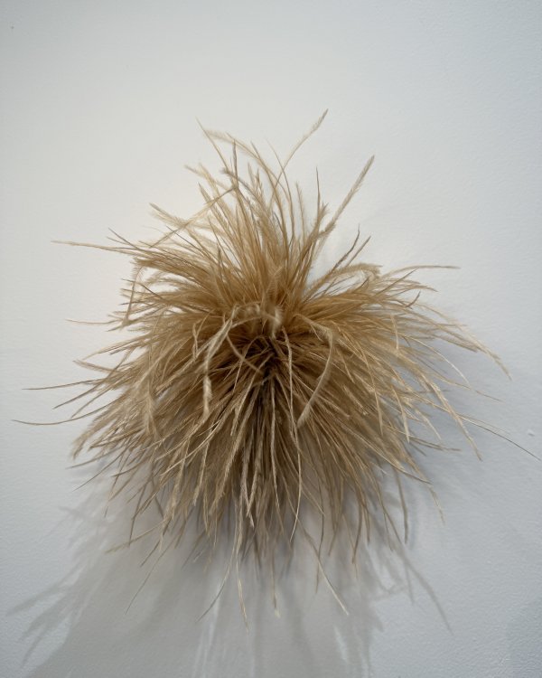 Broche Plumes / camel clair