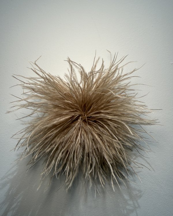 Broche Plumes / taupe