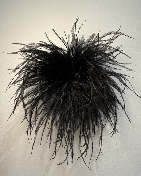 Broche - Plumes noires