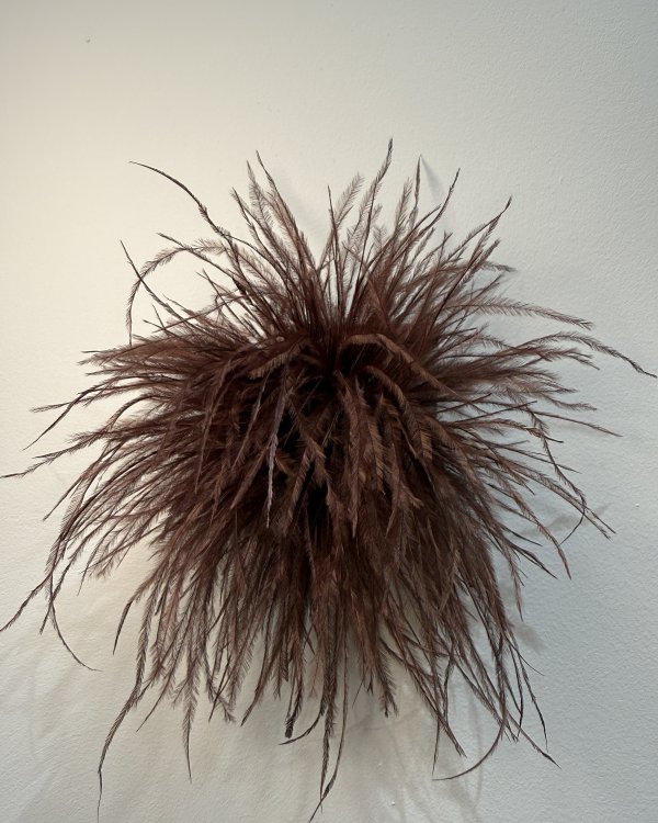 Broche Plumes/ chocolat