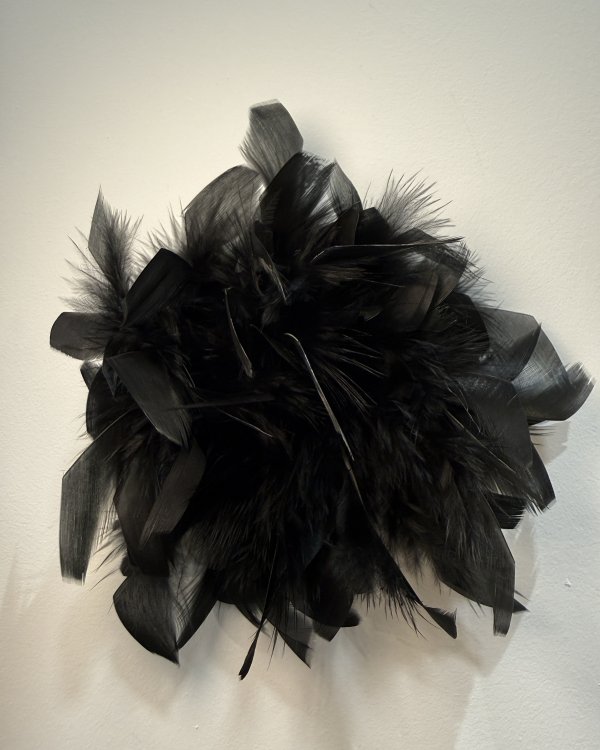 Broche - Plumes noires