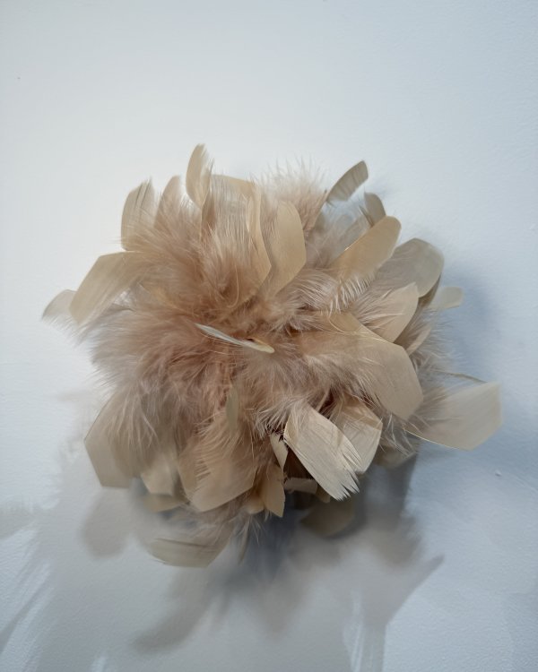 Broche plumes / ecru rosé